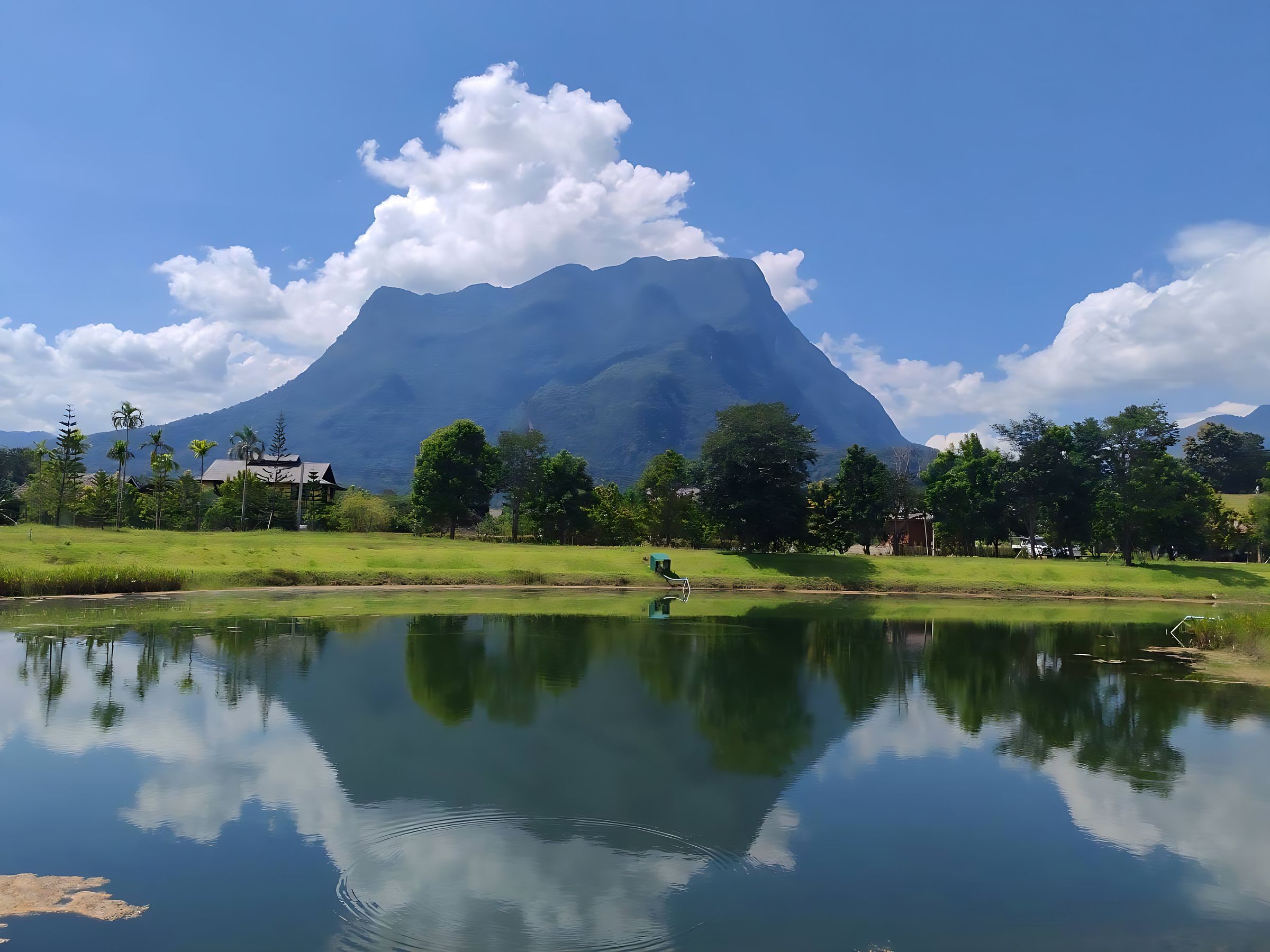 Doi Luang Chiang Dao rising above a green meadow and a still pond